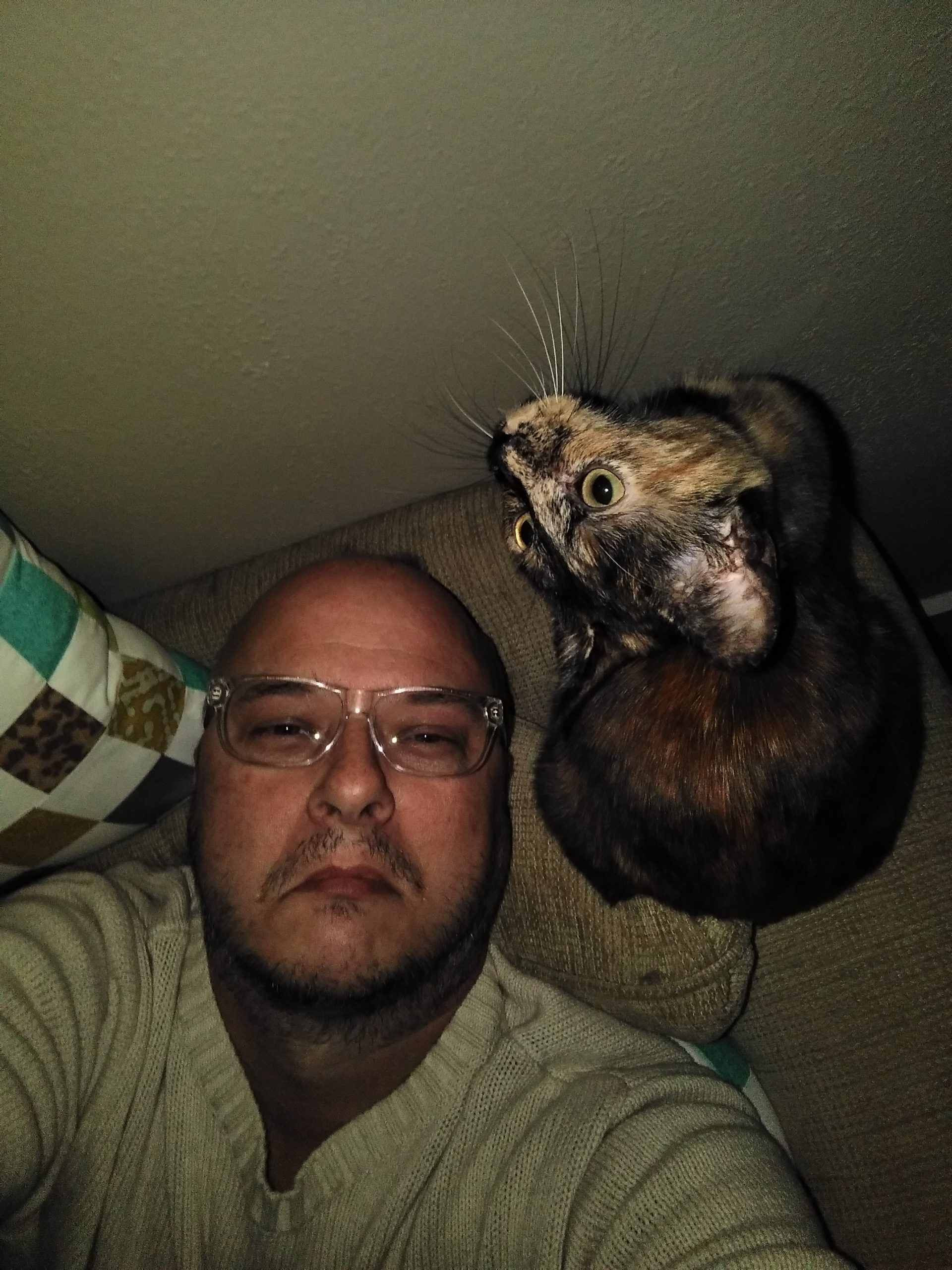 Sitting in a comfy chair, and taking a selfie with me and a tortiseshell cat who is sitting near my left shoulder.