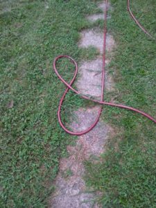 A garden hose takes the form of an ampersand in the grass.